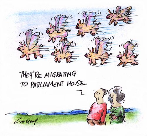 "They're migrating to parliament house."