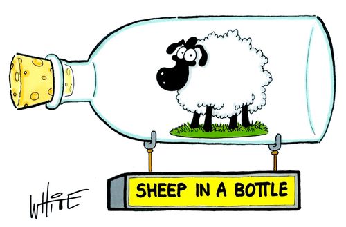 Sheep in a bottle