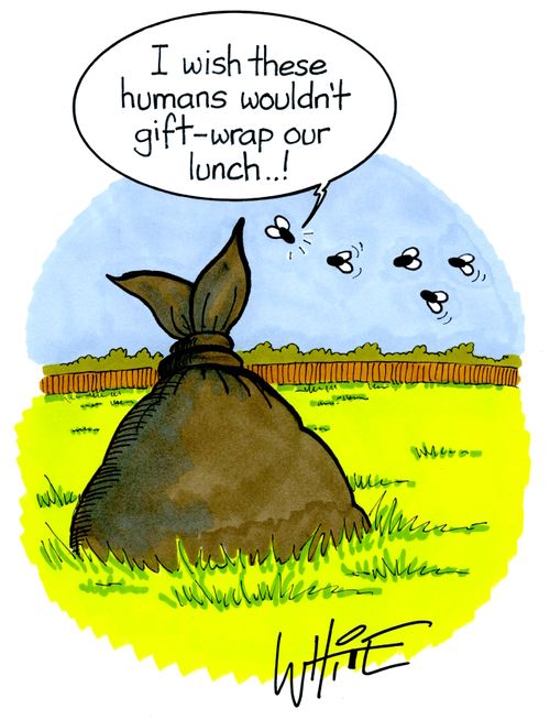 "I wish these humans wouldn't gift-wrap our lunch. . !"