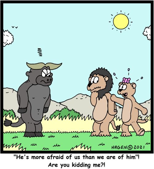 "'He's more afraid of us than we are of him'! Are you kidding me?!"
