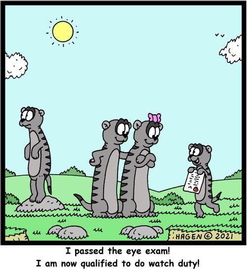 "I passed the eye exam! I am now qualified to do watch duty!"