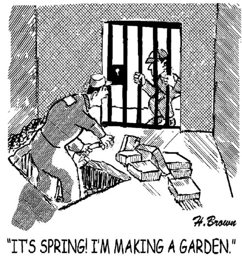 "It's spring! I'm making a garden."