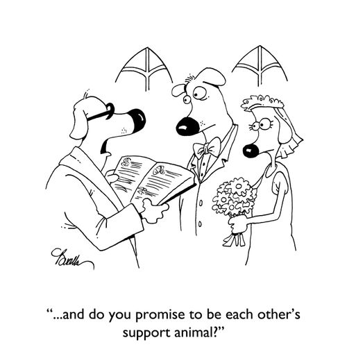 ". . . and do you promise to be each other's support animal?"