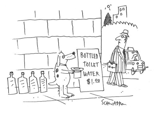 Bottled Toilet Water