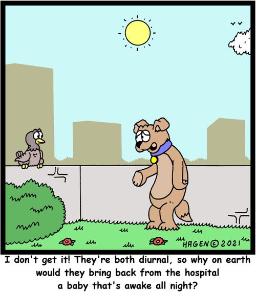 "I don't get it! They're both diurnal, so why on earth would they bring back from the hospital a baby that's awake all night?"