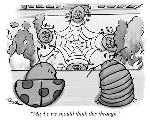 "Maybe we should think this through."