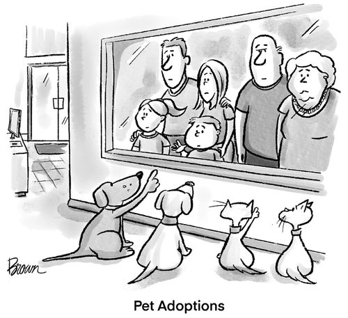 Pet Adoptions