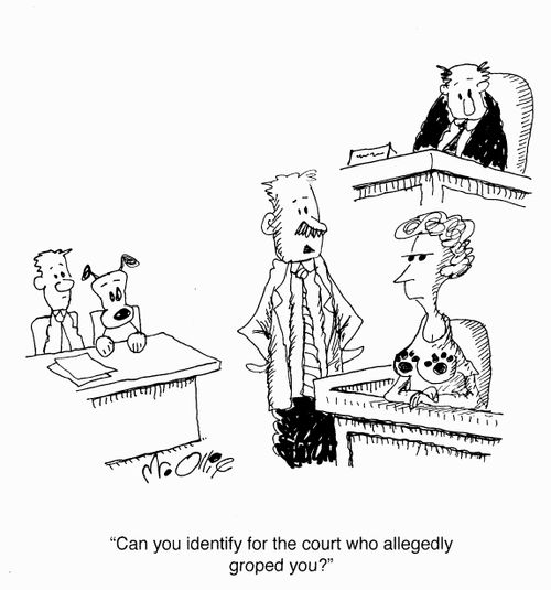 "Can you identify for the court who allegedly groped you?"