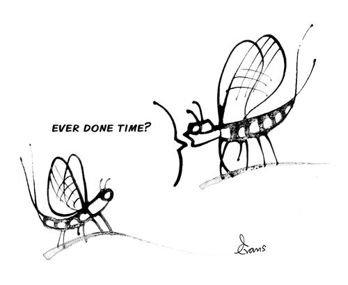 "Ever done time?"