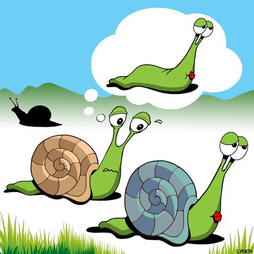Snail Fantasy