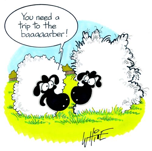 "You need a trip to the baaaarber!"