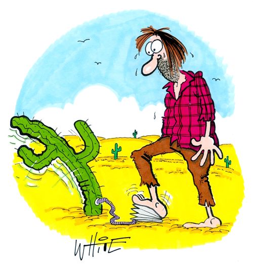 Pumping up a cactus