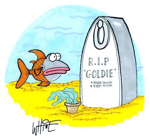 R.I.P. goldie