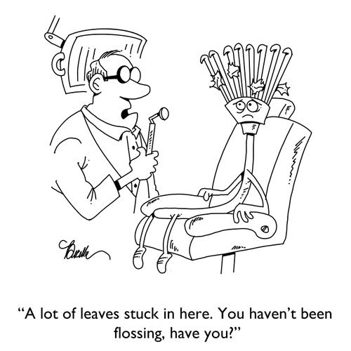 "A lot of leaves stuck in here. You haven't been flossing, have you?"