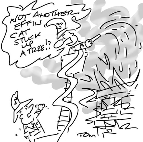 "Not another effin cat stuck up a tree!?"