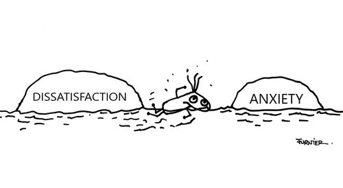 Dissatisfaction/Anxiety