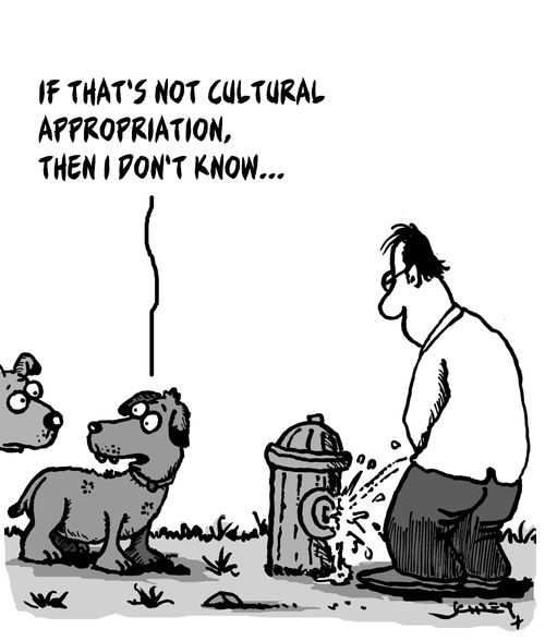 "If that's not cultural appropriation, then I don't know. . ."