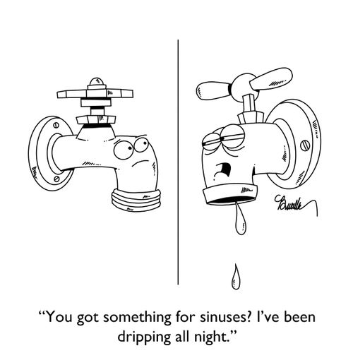 "You got something for sinuses? I've been dripping all night."