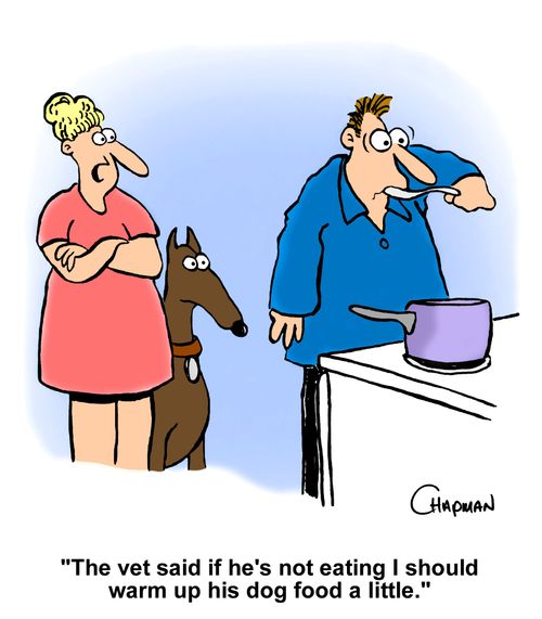 "The vet said if he's not eating I should warm up his dog food a little.'