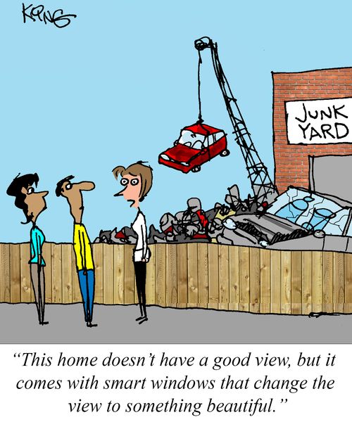 "This home doesn't have a good view, but it comes with smart windows that change the view to something beautiful."