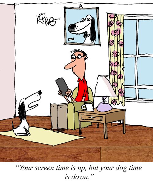 "Your screen time is up, but your dog time is down."
