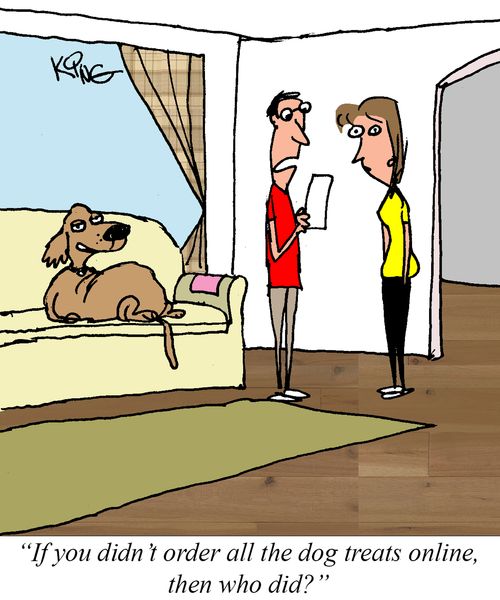 "If you didn't order all the dog treats online, then who did?"