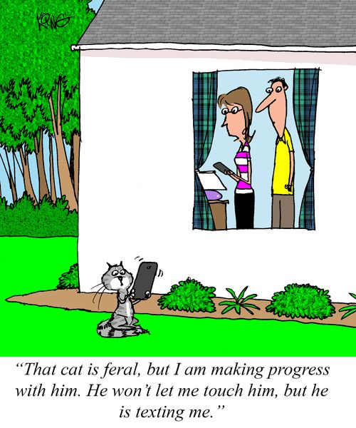 "That cat is feral, but I am making progress with him. He won't let me touch him, but he is texting me."