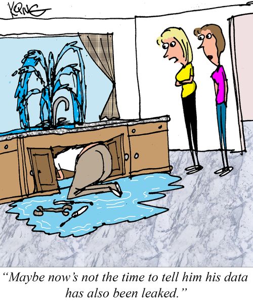 "Maybe now's not the time to tell him his data has also been leaked."