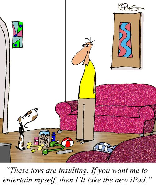 "These toys are insulting. If you want me to entertain myself, then I'll take the new iPad."