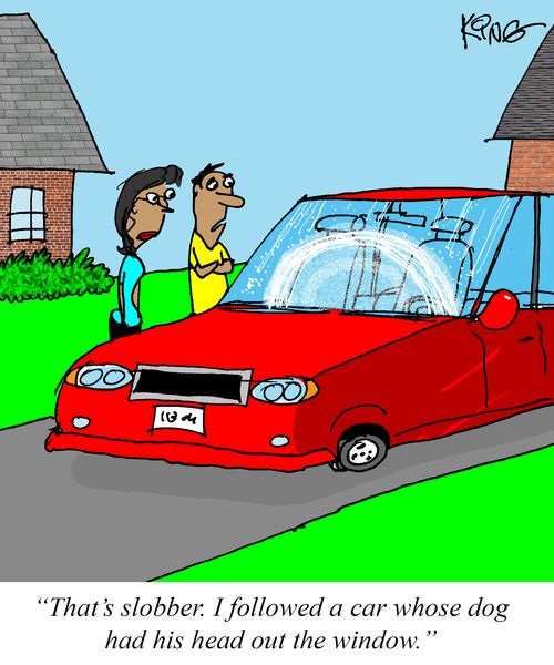 "That's slobber. I followed a car whose dog had his head out the window."