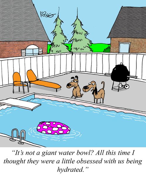 "It's not a giant water bowl? All this time I thought they were a little obsessed with us being hydrated."