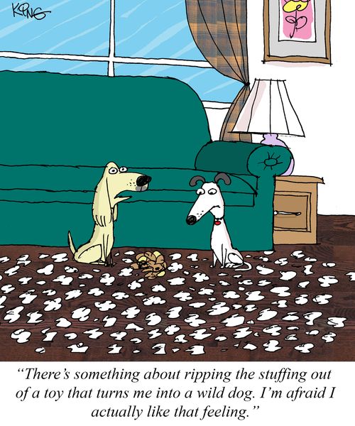 "There's something about ripping the stuffing out of a toy that turns me into a wild dog. I'm afraid I actually like that feeling."