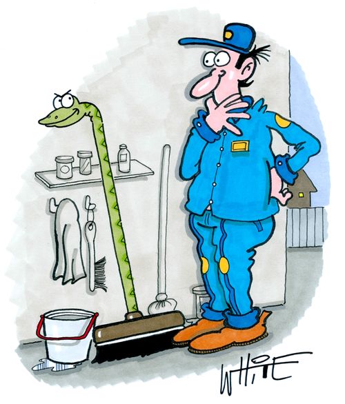 A snake pretending to be a broom handle