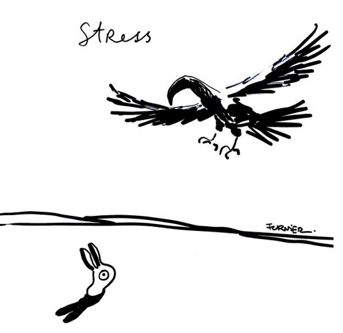 Stress