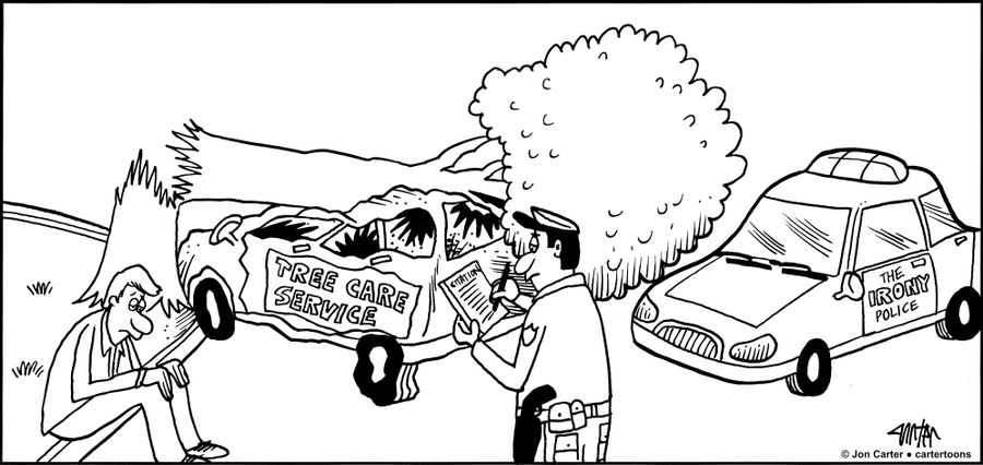 Tree Crash: Tree Care Specialist