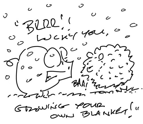 "Brrr! Lucky you, growing your own blanket!"