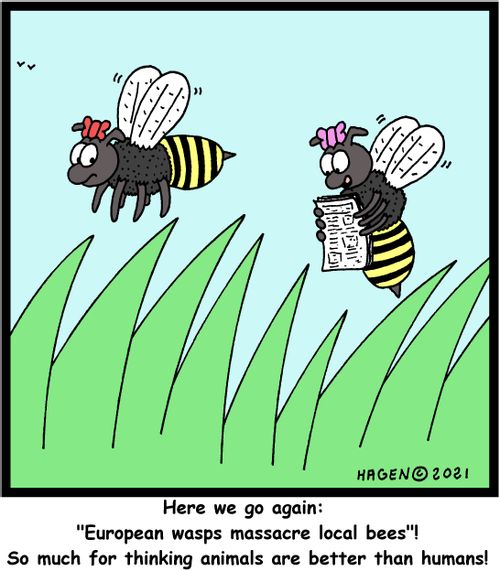 "Here we go again: 'European wasps massacre local bees'! So much for thinking animals are better than humans!"