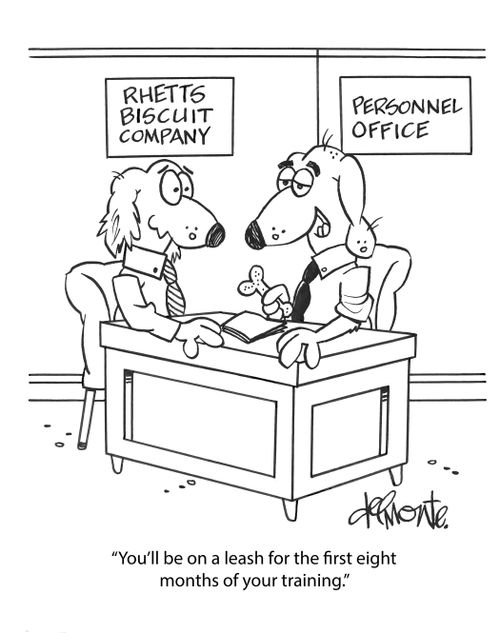 "You'll be on a leash for the first eight months of your training." 