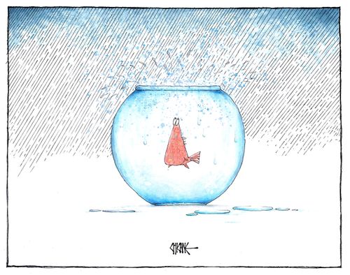 Raining in the Fishbowl