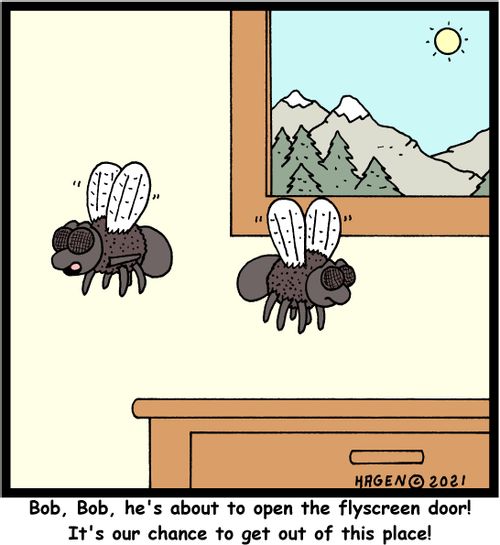 "Bob, Bob, he's about to open the flyscreen door! It's our chance to get out of this place!"
