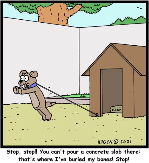 "Stop, stop!! You can't pour a concrete slab there: that's where I've buried my bones! Stop!"