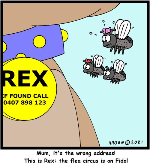  "Mum, it's the wrong address! This is on Rex: the flea circus is on Fido!"