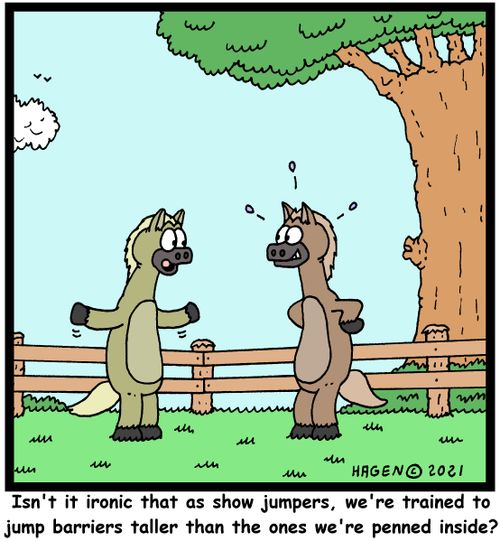 "Isn't it ironic that as show jumpers, we're trained to jump barriers taller than the ones we're penned inside?"