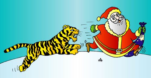 Year of the Tiger