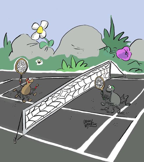 Spider Tennis