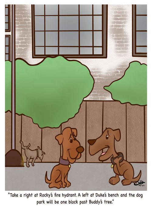 "Take a right at Rocky's fire hydrant. A left at Duke's bench and the dog part will be one block past buddy's tree."