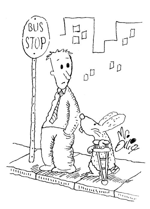 A rabbit missing a foot waiting at a bus stop