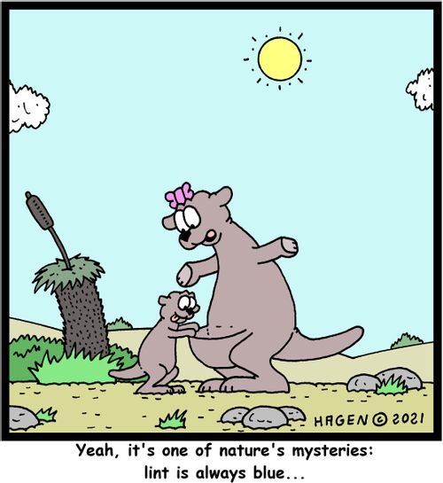 "Yeah, it's one of nature's mysteries: lint is always blue..."
