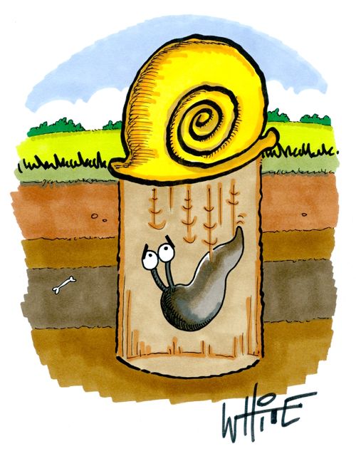 A snail falling down a hole