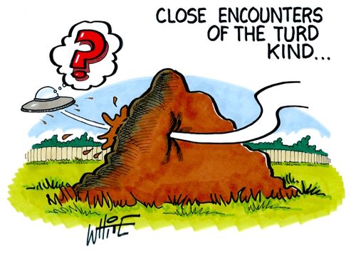 Close encounters of the turd kind...